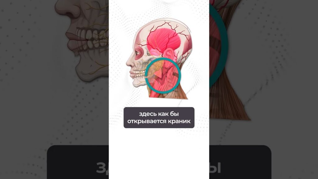 упражнение от отеков под глазами — Всего ОДНО простое упражнение от отеков под глазами! #отеки #лечение #здоровье