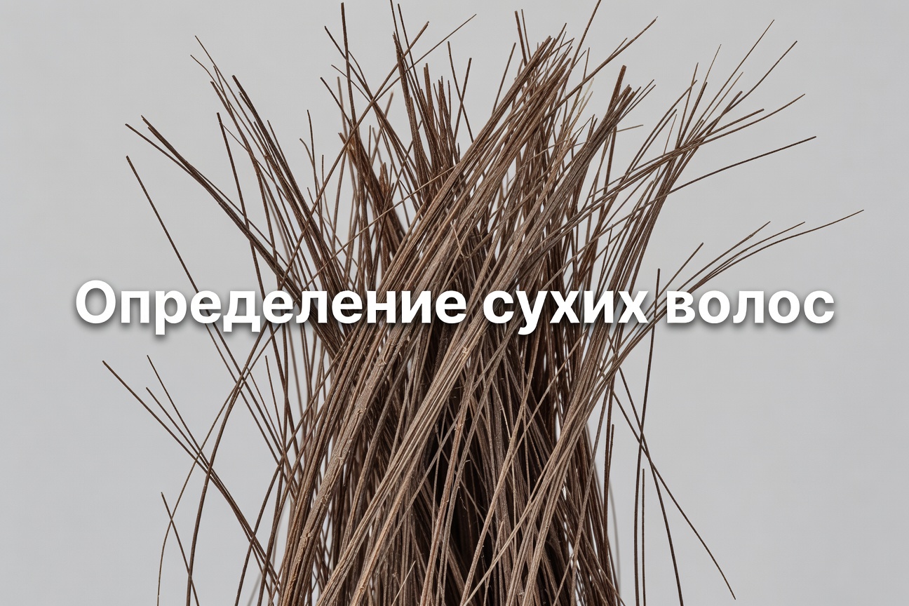 сушка феном сухость волос — Сушка феном приводит к сухости волос! / Как определить, что волосы сухие? 2